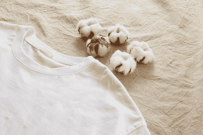 Why Every Indian Man Needs a High-Quality Cotton T-Shirt This Summer
